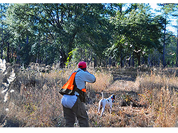 Farm and hunt tracts